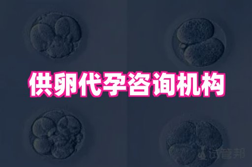 权威助孕网 3