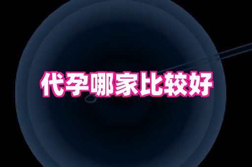 权威助孕网 4